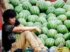 �����������м۸����µ� �����ũ�������