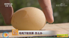 [ũ�����]ĸ�������ǵ���ô��