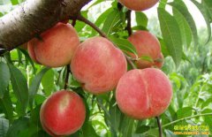 ˮ���Ҽ۸��µ� ���ڿ����߸�