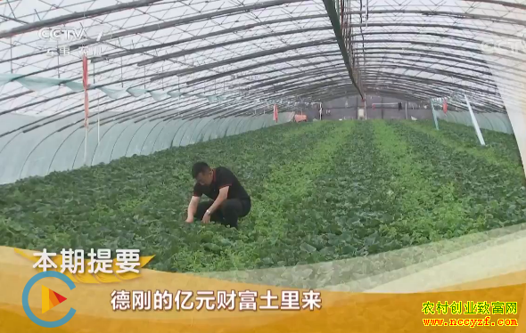 [�¸���]ɽ���ൺ���¸յ���Ԫ�Ƹ�������