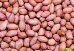 �ϰ��껨���۸�ǿ������ �＾�»������л����ͼ۸�