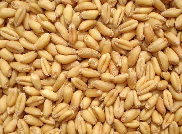 δ��С��۸�����Ԥ�⣺С���������ǳɱ�Ȼ