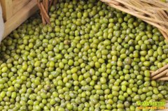 �̶��۸�ά���ȶ� �����̲��ؼ��ڳ���