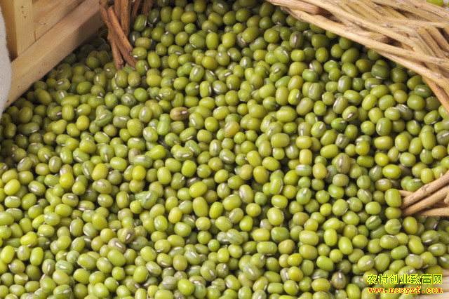 �̶��۸�ά���ȶ� �����̲��ؼ��ڳ���