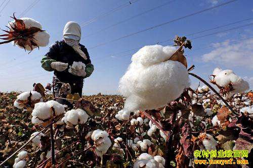 �����޻��������� �������޻��۸���ܵ���ȥ��