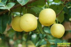 �潫ӭ������������ ����������Ԥ�Ʋ���ȥ��