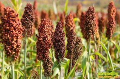 �¼��������������幩��ƽ�� �����۸���ǿռ�����