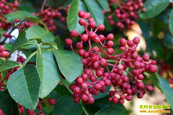 �����۸�Ϊʲô��