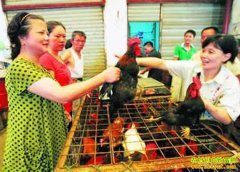 ë���۸�ֱ������ ��һֻ����׬�����