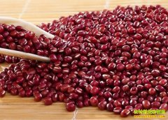 ��С�������������������� ������Ӱ������������