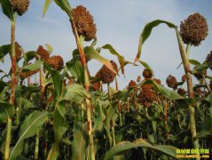 ���������۸��½� ר�����ѣ����ڹ�ע�����仯