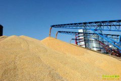 9�·�С��۸���������