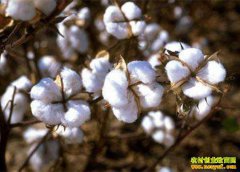 �½��޻����������ȥ�� �����ż�����͹��