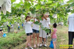 ���в�ժ԰���ת�Ͳ��ܸ�׬Ǯ��