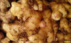 2019��9��10������������С�ƽ��۸�����