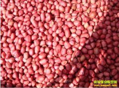 9��21��ȫ���������������»����۸�����