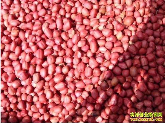 ��������Ǯһ�9��18��ȫ�������۸�����