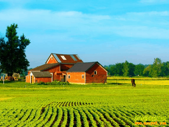 ����Ϊʲô�����߹�����չ��ͥũ����