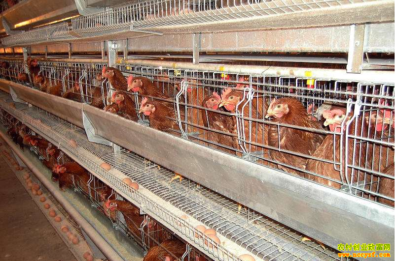 ��������׬Ǯ�ࣿ����������������������¸���