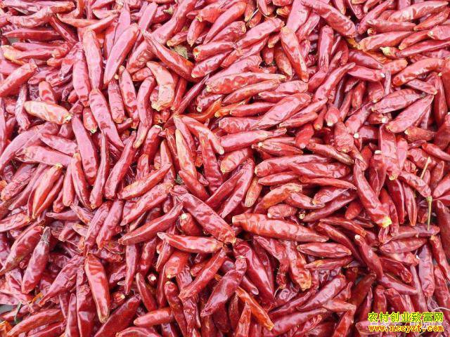 9��24��ȫ���������������������۸�����