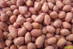 ��������Ǯһ�2022��4��30��ȫ�������۸�����