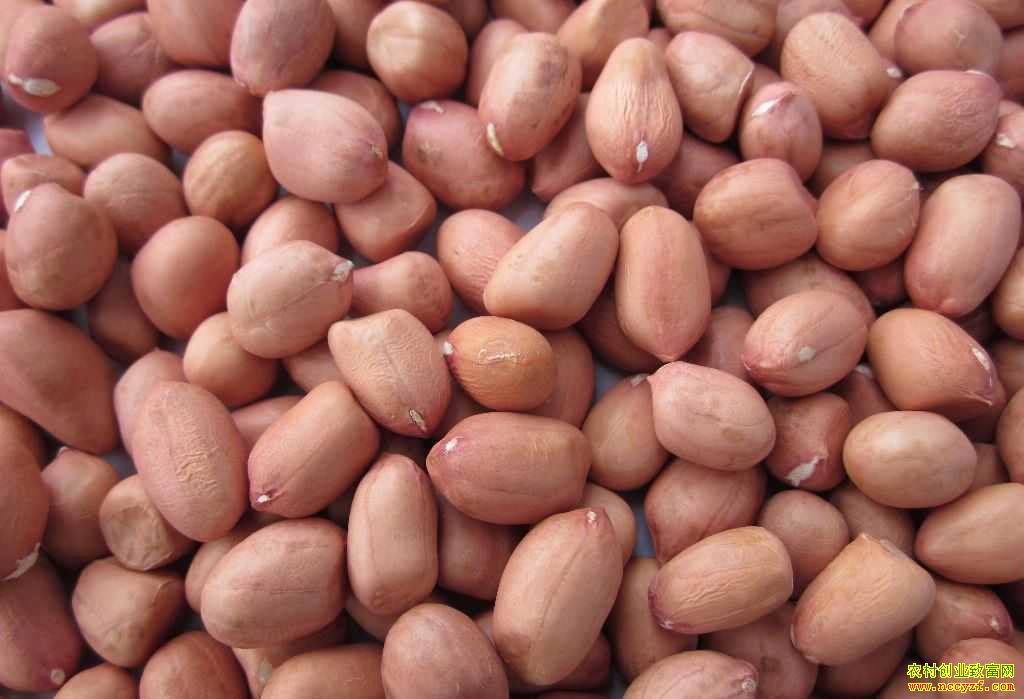 ȫ���������������»����۸�����