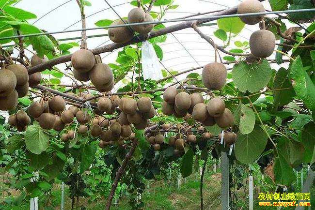 ɽ������Ԭ�����ֲ40Ķ⨺���һ������70��Ԫ