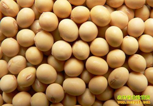 �����¼��󶹼۸�����ߵͣ���ʱ�󶹼۸������ǣ�