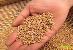 ������С��۸�������,��������ʱ����