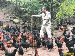 �Ĵ�����Ī�ƻ��紴ҵ������ϳ���ͷ