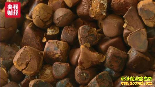 ������ҩ�ļ۸����ǣ��е���������50��1����,����ʲôԭ��