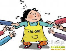 ����ǰ��ʲô��׬Ǯ����н�ߴ�500Ԫ�������ٽ���ķ����