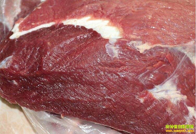 ţ�����Ǯһ������·����г�ţ��۸�