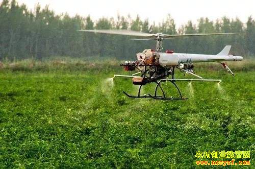 2020��ũ����ʲôС������׬Ǯ��