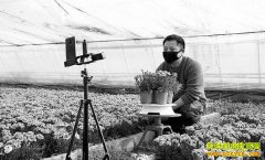 ɽ��۰�ǻ�ũ��˧ֱ�����ʻ�һ������2000��