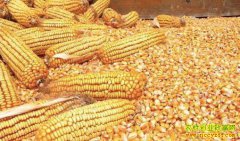 �������۸����� �������׼۸���