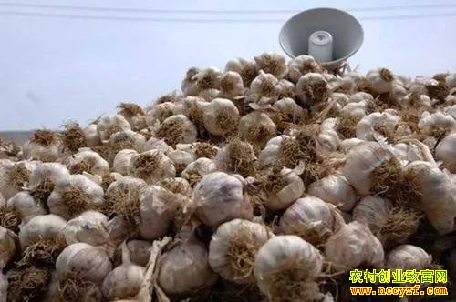 ��۳��������������ݡ�Ϊ����ε�����ô�ݣ�