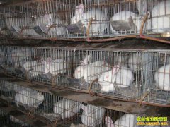 ������׬Ǯ�𣿺��ϻ�����������ֳ̡�������¸�·