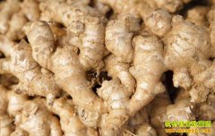 �󽪶���Ǯһ�2021��3��2��ɽ�����������۸�