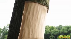 [�¸���]һ������ǧ��� л������ֲ�����¸���Ƶ