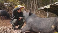 [�¸���]�����ﴨ��ȫ����ɽ�������¸���Ƶ