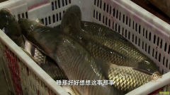 [�¸���]���ո�����Тѧ����Ѽ����ˮ��ˮ�¶�׬Ǯ