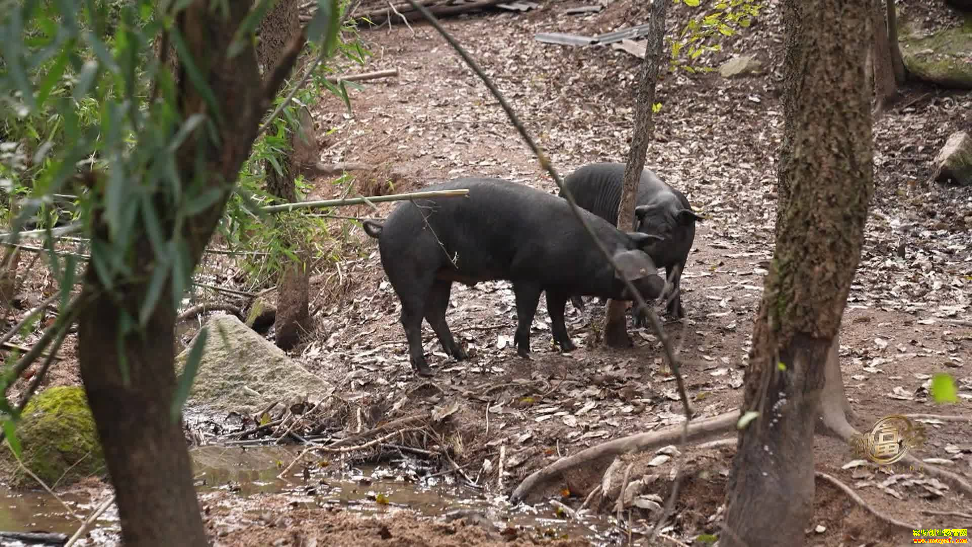 [�¸���]��ɽ�������������ܲ�20211207