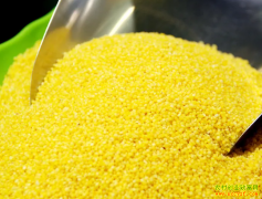 2022��4��14�������г����¹���С�׼۸�����