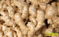 2022��4��3��ɽ�������������¼۸�����