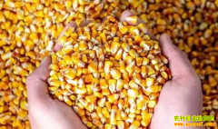 2022��4��8�պ����������¼۸������