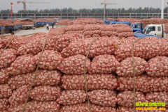 2022��5��15��ɽ����������������ʽ����г�����۸�