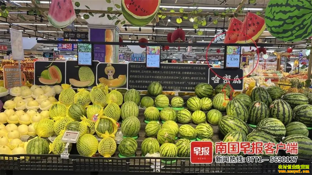 �������������ÿ���ۼ�4.99Ԫ