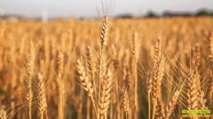 ������չ�С�����Ǯһ�2022.6.21�����С��۸��