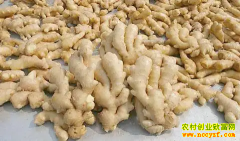 ���մ󽪼۸�2022.8.28ɽ�������۸񱨼�